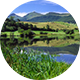 testi img
